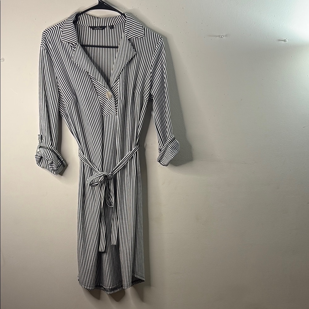Striped Black and White Shirt Dress